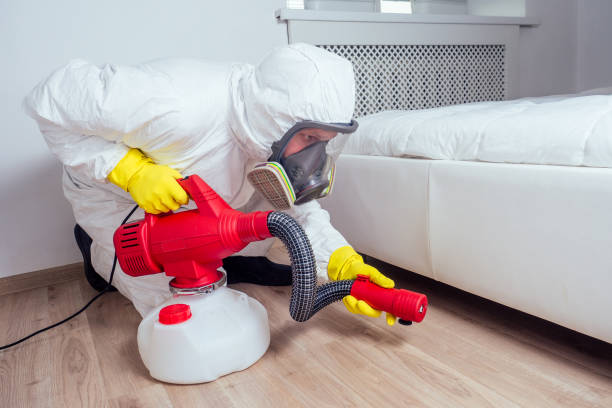 Best Pest Inspection Near Me  in Fredericktown, MO