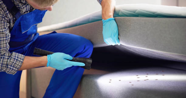 Best Termite Control Services  in Fredericktown, MO