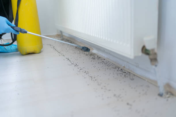 Best Pest Prevention Services  in Fredericktown, MO